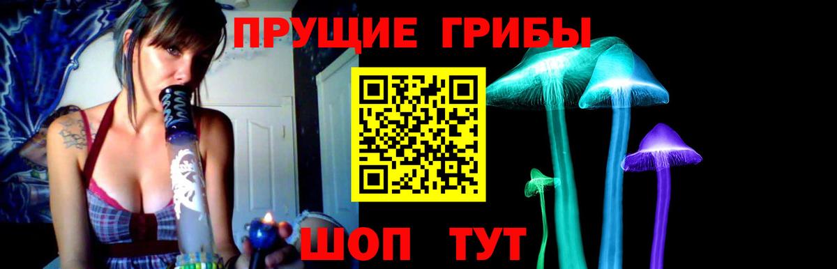 купить наркотики цена  Вход с VPN  Котельники  Галлюциногенные грибы MAGIC MUSHROOMS 